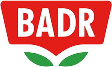 بدر