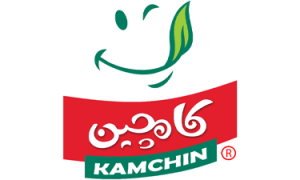 شرکت کامچین