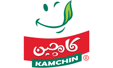 کامچین