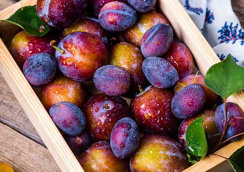سؤالات متداول درباره بهترین شرکت صادرات مواد غذایی ایرانی به کانادا