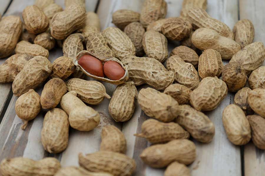 قوانین واردات مواد غذایی به کانادا