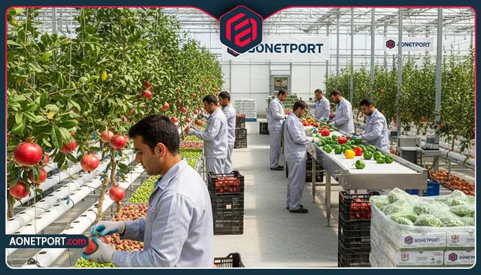 نکات کلیدی برای کشاورزان در فروش بهتر محصولات