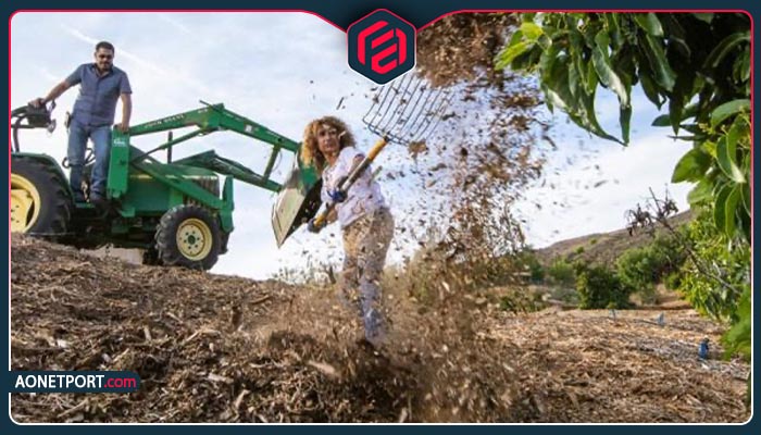 اوان تجارت بهترین گزینه برای فروش محصولات کشاورزی بدون واسطه