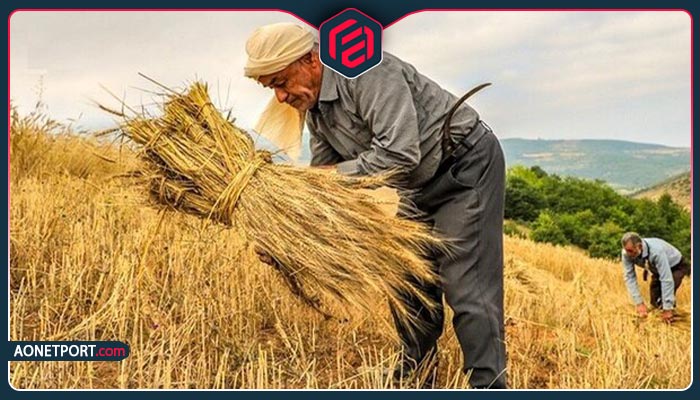 صادرات محصولات کشاورزی؛ فرصتی برای حمایت پایدار از کشاورزان ایرانی