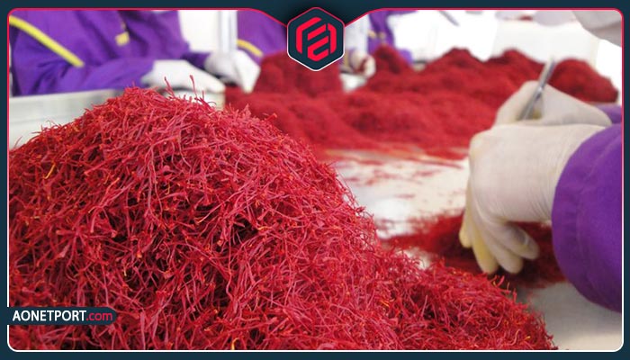 مراحل صادرات زعفران به کانادا