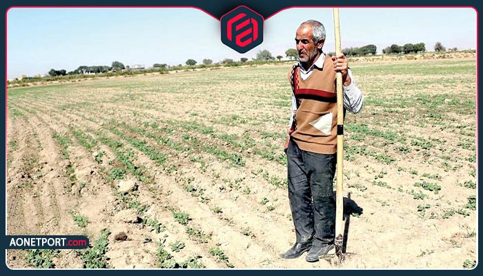 مزایای همکاری کشاورزان با اوان تجارت