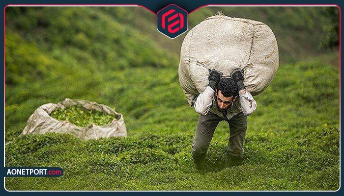 نقش اوان تجارت در حمایت از کشاورزان ایرانی