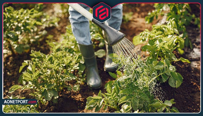 چالش های فروش محصولات کشاورزی بدون واسطه