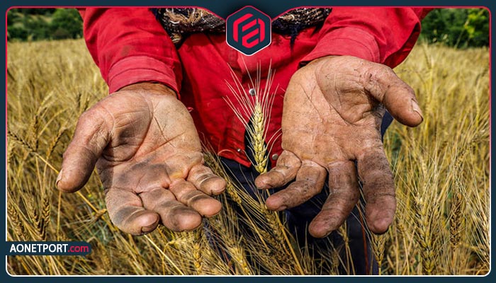 چگونه می‌توان از کشاورزان ایرانی حمایت کرد