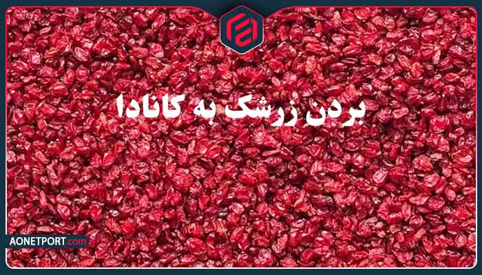 بردن زرشک به کانادا