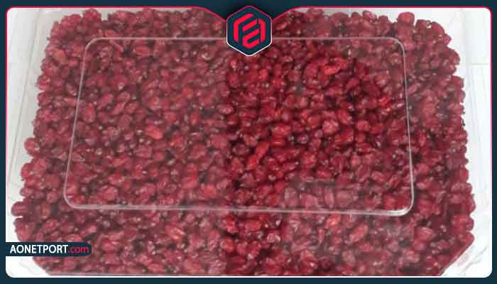 عوامل کلیدی موفقیت در بردن زرشک به کانادا