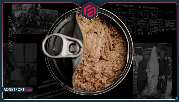 صادرات تن ماهی