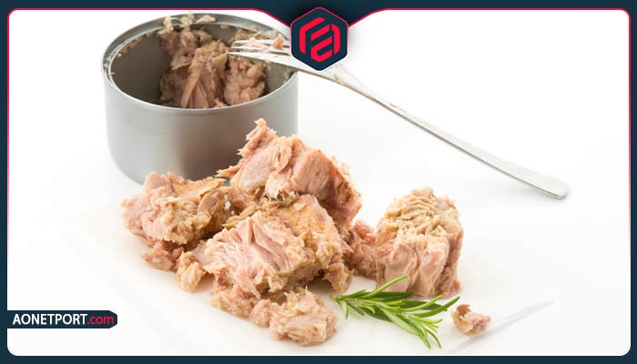 چگونه در صادرات تن ماهی موفق شویم؟