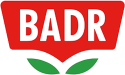 بدر بدر